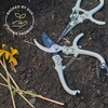 image:imageModern Sprout Gardening Shears amp Pruners 2pack Lightweight Durable Green One Size MSGS1005