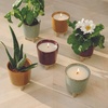 image:imageModern Sprout Glow and Grow Kit  2 in 1 Scented Candle that Grows into a Daisy Plant  12 oz Soy Candle with 78 hr Burn time in Glaze Ceramic Vessel  Planter Ideal for Home Decor AestheticAloe