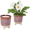 image:imageModern Sprout Glow and Grow Kit  2 in 1 Scented Candle that Grows into a Daisy Plant  12 oz Soy Candle with 78 hr Burn time in Glaze Ceramic Vessel  Planter Ideal for Home Decor AestheticDaisy