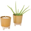 image:imageModern Sprout Glow and Grow Kit  2 in 1 Scented Candle that Grows into a Daisy Plant  12 oz Soy Candle with 78 hr Burn time in Glaze Ceramic Vessel  Planter Ideal for Home Decor AestheticAloe