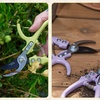image:imageModern Sprout Hand Pruners  Lightweight Pruning Shears WEasy Lock Gardening Scissors  Bypass Sharp Carbon Steel Blade Rust Resistant Garden Tools  Reusable Holster  Gift for Fathers Day SageChartreuse