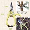 image:imageModern Sprout Hand Pruners  Lightweight Pruning Shears WEasy Lock Gardening Scissors  Bypass Sharp Carbon Steel Blade Rust Resistant Garden Tools  Reusable Holster  Gift for Fathers Day SageChartreuse
