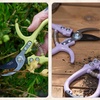 image:imageModern Sprout Hand Pruners  Lightweight Pruning Shears WEasy Lock Gardening Scissors  Bypass Sharp Carbon Steel Blade Rust Resistant Garden Tools  Reusable Holster  Gift for Fathers Day SageLavender