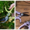 image:imageModern Sprout Hand Pruners  Lightweight Pruning Shears WEasy Lock Gardening Scissors  Bypass Sharp Carbon Steel Blade Rust Resistant Garden Tools  Reusable Holster  Gift for Fathers Day SageOcean