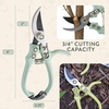 image:imageModern Sprout Hand Pruners  Lightweight Pruning Shears WEasy Lock Gardening Scissors  Bypass Sharp Carbon Steel Blade Rust Resistant Garden Tools  Reusable Holster  Gift for Fathers Day SageSage