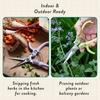 image:imageModern Sprout Hydroponic GrowHarvest Bundle  Mason Jar Herb Garden Kit Indoor wLavender Pruning Shears Organic NonGMO Lavender SeedsGarden SnipsSelfWatering Planter for Kitchen Countertop GiftBasil Garden Jar  Sage Shears