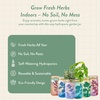 image:imageModern Sprout Hydroponic GrowHarvest Bundle  Mason Jar Herb Garden Kit Indoor wLavender Pruning Shears Organic NonGMO Lavender SeedsGarden SnipsSelfWatering Planter for Kitchen Countertop GiftUltimate Herb Garden Set