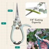 image:imageModern Sprout Hydroponic GrowHarvest Bundle  Mason Jar Herb Garden Kit Indoor wLavender Pruning Shears Organic NonGMO Lavender SeedsGarden SnipsSelfWatering Planter for Kitchen Countertop GiftBasil Garden Jar  Sage Shears