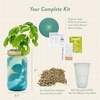 image:imageModern Sprout Hydroponic GrowHarvest Bundle  Mason Jar Herb Garden Kit Indoor wLavender Pruning Shears Organic NonGMO Lavender SeedsGarden SnipsSelfWatering Planter for Kitchen Countertop GiftGarden Jar 3pk Keeper