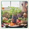 image:imageModern Sprout Hydroponic GrowHarvest Bundle  Mason Jar Herb Garden Kit Indoor wLavender Pruning Shears Organic NonGMO Lavender SeedsGarden SnipsSelfWatering Planter for Kitchen Countertop GiftGarden Jar 3pk Keeper