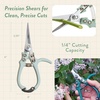 image:imageModern Sprout Hydroponic GrowHarvest Bundle  Mason Jar Herb Garden Kit Indoor wLavender Pruning Shears Organic NonGMO Lavender SeedsGarden SnipsSelfWatering Planter for Kitchen Countertop GiftUltimate Herb Garden Set