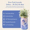 image:imageModern Sprout Hydroponic GrowHarvest Bundle  Mason Jar Herb Garden Kit Indoor wLavender Pruning Shears Organic NonGMO Lavender SeedsGarden SnipsSelfWatering Planter for Kitchen Countertop GiftLavender Garden Jar  Lavender Shears