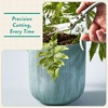 image:imageModern Sprout Hydroponic GrowHarvest Bundle  Mason Jar Herb Garden Kit Indoor wLavender Pruning Shears Organic NonGMO Lavender SeedsGarden SnipsSelfWatering Planter for Kitchen Countertop GiftBasil Garden Jar  Sage Shears
