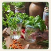 image:imageModern Sprout Hydroponic GrowHarvest Bundle  Mason Jar Herb Garden Kit Indoor wLavender Pruning Shears Organic NonGMO Lavender SeedsGarden SnipsSelfWatering Planter for Kitchen Countertop GiftUltimate Herb Garden Set