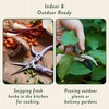 image:imageModern Sprout Hydroponic GrowHarvest Bundle  Mason Jar Herb Garden Kit Indoor wLavender Pruning Shears Organic NonGMO Lavender SeedsGarden SnipsSelfWatering Planter for Kitchen Countertop GiftCilantro Garden Jar  Chartreuse Shears