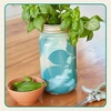 image:imageModern Sprout Hydroponic GrowHarvest Bundle  Mason Jar Herb Garden Kit Indoor wLavender Pruning Shears Organic NonGMO Lavender SeedsGarden SnipsSelfWatering Planter for Kitchen Countertop GiftBasil Garden Jar  Sage Shears
