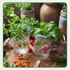 image:imageModern Sprout Hydroponic GrowHarvest Bundle  Mason Jar Herb Garden Kit Indoor wLavender Pruning Shears Organic NonGMO Lavender SeedsGarden SnipsSelfWatering Planter for Kitchen Countertop GiftGarden Jar 3pk Keeper