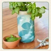 image:imageModern Sprout Hydroponic GrowHarvest Bundle  Mason Jar Herb Garden Kit Indoor wLavender Pruning Shears Organic NonGMO Lavender SeedsGarden SnipsSelfWatering Planter for Kitchen Countertop GiftUltimate Herb Garden Set