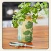 image:imageModern Sprout Hydroponic GrowHarvest Bundle  Mason Jar Herb Garden Kit Indoor wLavender Pruning Shears Organic NonGMO Lavender SeedsGarden SnipsSelfWatering Planter for Kitchen Countertop GiftCilantro Garden Jar  Chartreuse Shears