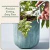 image:imageModern Sprout Hydroponic GrowHarvest Bundle  Mason Jar Herb Garden Kit Indoor wLavender Pruning Shears Organic NonGMO Lavender SeedsGarden SnipsSelfWatering Planter for Kitchen Countertop GiftCilantro Garden Jar  Chartreuse Shears