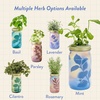 image:imageModern Sprout Mason Garden Jar  SelfWatering Hydroponics Growing System Kit with Organic Herb Seeds  Jar Planter for Indoor Herb Garden  Seed Starter Kit  Home Decor amp Gifting  LavenderMint