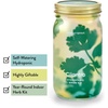 image:imageModern Sprout Mason Garden Jar  SelfWatering Hydroponics Growing System Kit with Organic Herb Seeds  Jar Planter for Indoor Herb Garden  Seed Starter Kit  Home Decor amp Gifting  LavenderBasilcilantro