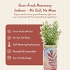image:imageModern Sprout Mason Garden Jar  SelfWatering Hydroponics Growing System Kit with Organic Herb Seeds  Jar Planter for Indoor Herb Garden  Seed Starter Kit  Home Decor amp Gifting  LavenderRosemary