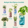 image:imageModern Sprout Mason Garden Jar  SelfWatering Hydroponics Growing System Kit with Organic Herb Seeds  Jar Planter for Indoor Herb Garden  Seed Starter Kit  Home Decor amp Gifting  LavenderBasil