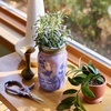image:imageModern Sprout Mason Garden Jar  SelfWatering Hydroponics Growing System Kit with Organic Herb Seeds  Jar Planter for Indoor Herb Garden  Seed Starter Kit  Home Decor amp Gifting  LavenderBasil  Lavender