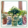 image:imageModern Sprout Mason Garden Jar  SelfWatering Hydroponics Growing System Kit with Organic Herb Seeds  Jar Planter for Indoor Herb Garden  Seed Starter Kit  Home Decor amp Gifting  LavenderBasil