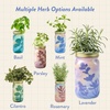 image:imageModern Sprout Mason Garden Jar  SelfWatering Hydroponics Growing System Kit with Organic Herb Seeds  Jar Planter for Indoor Herb Garden  Seed Starter Kit  Home Decor amp Gifting  LavenderLavender
