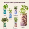 image:imageModern Sprout Mason Garden Jar  SelfWatering Hydroponics Growing System Kit with Organic Herb Seeds  Jar Planter for Indoor Herb Garden  Seed Starter Kit  Home Decor amp Gifting  LavenderParsley