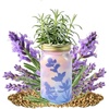 image:imageModern Sprout Mason Garden Jar  SelfWatering Hydroponics Growing System Kit with Organic Herb Seeds  Jar Planter for Indoor Herb Garden  Seed Starter Kit  Home Decor amp Gifting  LavenderLavenderrosemary