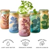 image:imageModern Sprout Mason Garden Jar  SelfWatering Hydroponics Growing System Kit with Organic Herb Seeds  Jar Planter for Indoor Herb Garden  Seed Starter Kit  Home Decor amp Gifting  LavenderLavenderrosemary