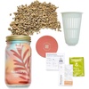 image:imageModern Sprout Mason Garden Jar  SelfWatering Hydroponics Growing System Kit with Organic Herb Seeds  Jar Planter for Indoor Herb Garden  Seed Starter Kit  Home Decor amp Gifting  LavenderLavenderrosemary