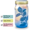 image:imageModern Sprout Mason Garden Jar  SelfWatering Hydroponics Growing System Kit with Organic Herb Seeds  Jar Planter for Indoor Herb Garden  Seed Starter Kit  Home Decor amp Gifting  LavenderBasilmint