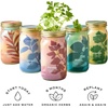 image:imageModern Sprout Mason Garden Jar  SelfWatering Hydroponics Growing System Kit with Organic Herb Seeds  Jar Planter for Indoor Herb Garden  Seed Starter Kit  Home Decor amp Gifting  LavenderBasilcilantro