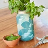 image:imageModern Sprout Mason Garden Jar  SelfWatering Hydroponics Growing System Kit with Organic Herb Seeds  Jar Planter for Indoor Herb Garden  Seed Starter Kit  Home Decor amp Gifting  LavenderBasil  Lavender