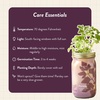image:imageModern Sprout Mason Garden Jar  SelfWatering Hydroponics Growing System Kit with Organic Herb Seeds  Jar Planter for Indoor Herb Garden  Seed Starter Kit  Home Decor amp Gifting  LavenderParsley