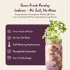 image:imageModern Sprout Mason Garden Jar  SelfWatering Hydroponics Growing System Kit with Organic Herb Seeds  Jar Planter for Indoor Herb Garden  Seed Starter Kit  Home Decor amp Gifting  LavenderParsley