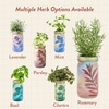 image:imageModern Sprout Mason Garden Jar  SelfWatering Hydroponics Growing System Kit with Organic Herb Seeds  Jar Planter for Indoor Herb Garden  Seed Starter Kit  Home Decor amp Gifting  LavenderRosemary