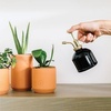 image:imageModern Sprout Plant Mister 8 oz Indoor Watering Can Aesthetic Plant Sprayer amp Water Mister Spray Bottle Garden Watering Can for Seed Starting VintageInspired Gift for Fathers Day  BlackBlack