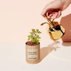 image:imageModern Sprout Plant Mister 8 oz Indoor Watering Can Aesthetic Plant Sprayer amp Water Mister Spray Bottle Garden Watering Can for Seed Starting VintageInspired Gift for Fathers Day  BlackGold