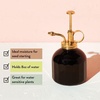 image:imageModern Sprout Plant Mister 8 oz Indoor Watering Can Aesthetic Plant Sprayer amp Water Mister Spray Bottle Garden Watering Can for Seed Starting VintageInspired Gift for Fathers Day  BlackBlack