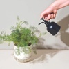 image:imageModern Sprout Plant Mister 8 oz Indoor Watering Can Aesthetic Plant Sprayer amp Water Mister Spray Bottle Garden Watering Can for Seed Starting VintageInspired Gift for Fathers Day  BlackMatte Black