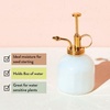 image:imageModern Sprout Plant Mister 8 oz Indoor Watering Can Aesthetic Plant Sprayer amp Water Mister Spray Bottle Garden Watering Can for Seed Starting VintageInspired Gift for Fathers Day  BlackWhite