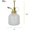image:imageModern Sprout Plant Mister 8 oz Indoor Watering Can Aesthetic Plant Sprayer amp Water Mister Spray Bottle Garden Watering Can for Seed Starting VintageInspired Gift for Fathers Day  BlackWhite