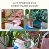 image:imageModern Sprout Plant Watering Can  Handcrafted from Borosilicate Glass  Long Spout Vessel for Indoor Plants  32 Oz Capacity  Multipurpose Watering Can and Flower Vase for Houseplants TealTeal