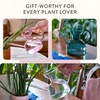 image:imageModern Sprout Plant Watering Can  Handcrafted from Borosilicate Glass  Long Spout Vessel for Indoor Plants  32 Oz Capacity  Multipurpose Watering Can and Flower Vase for Houseplants TealBlush