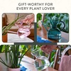 image:imageModern Sprout Plant Watering Can  Handcrafted from Borosilicate Glass  Long Spout Vessel for Indoor Plants  32 Oz Capacity  Multipurpose Watering Can and Flower Vase for Houseplants TealClear